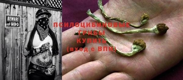 молекула духа Горняк